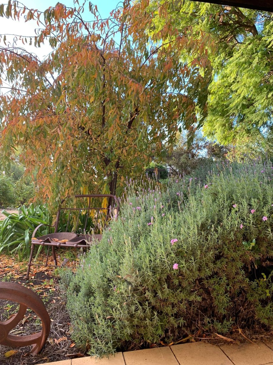 Autumn in the Riverland at Crossfield Cottage B&B